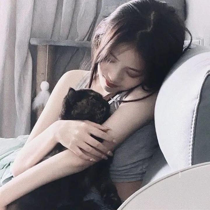 五香宫的猫