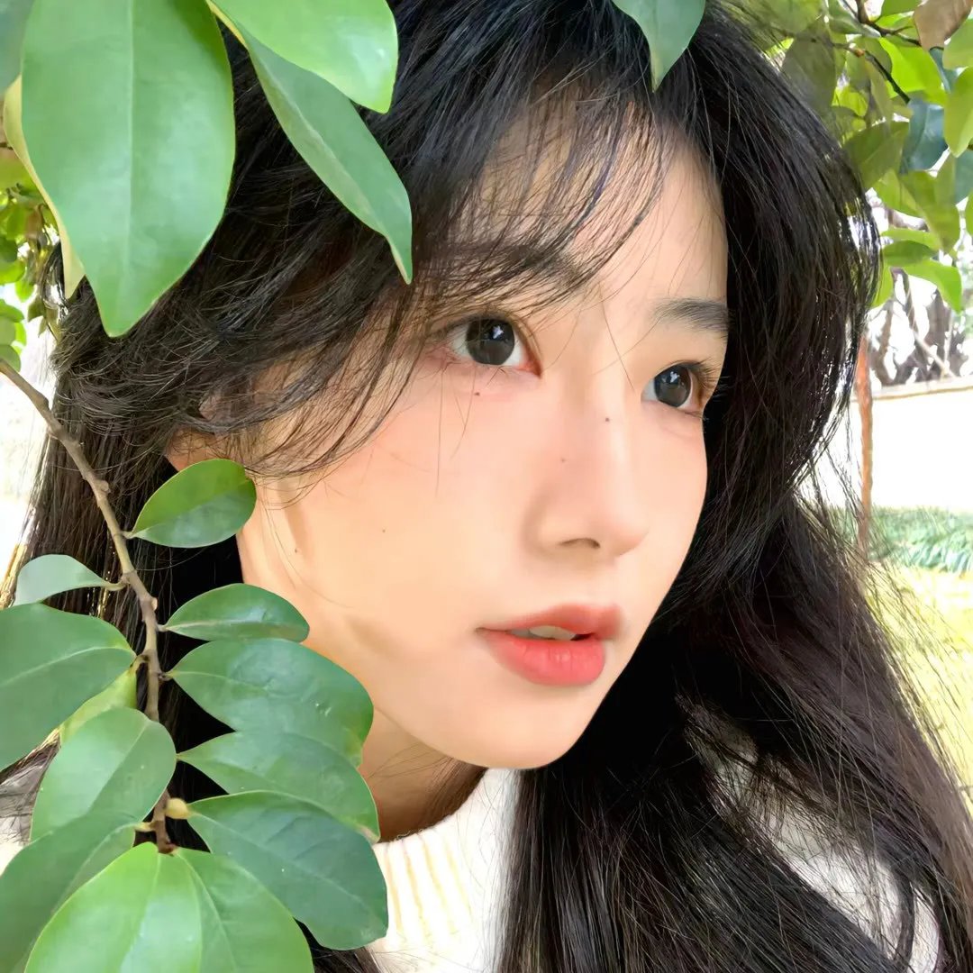 美丽笨女人
